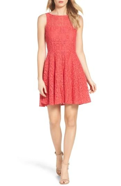Bb Dakota Women's Paloma Lace Fit & Flare Dress In Glow | ModeSens