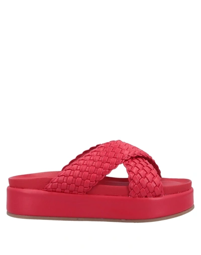 Habille' Italy Sandals In Red