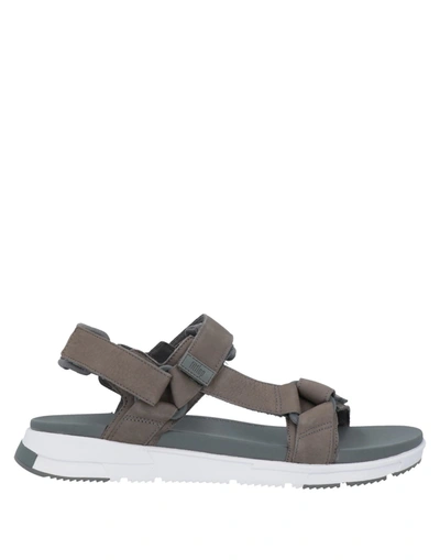Fitflop Sandals In Lead