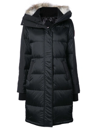 Canada Goose Goose Down Padded Coat In Black