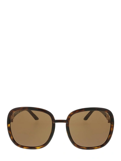 Gucci Gg0893s Dark Havana Female Sunglasses