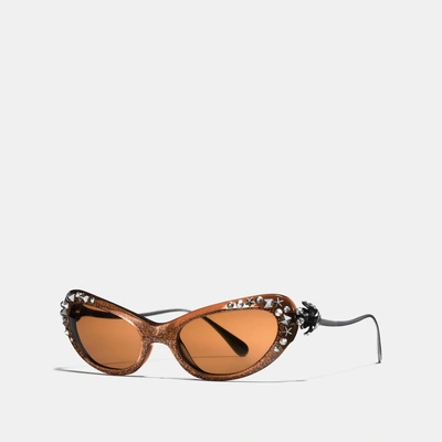 Coach Beatniks Rivets Sunglasses In Brown Glitter