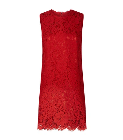 Dolce & Gabbana Scalloped Lace Sleeveless Dress In Multi