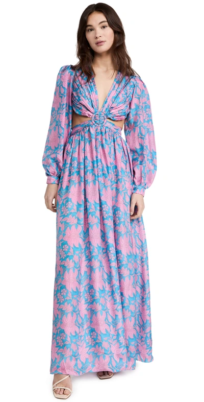 Hannah Artwear Rio Open-back Floral-print Silk-habotai Maxi Dress In Multi