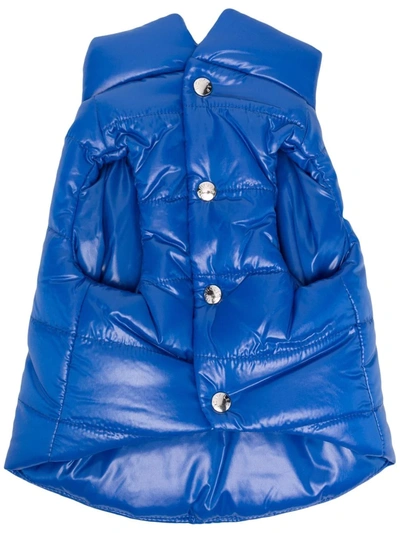 Moncler Logo Quilted Nylon Pet Jacket In Navy