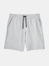 Public Rec Weekend Shorts In Heather Silver Sp