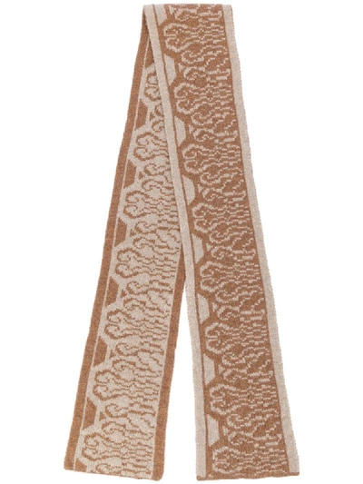 Apc Embroidered Scarf In Brown Multi