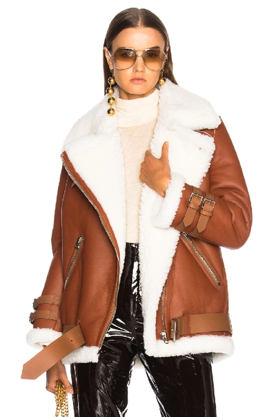 Acne Studios Shearling Jacket Nut Brown/ White In Brown,neutrals