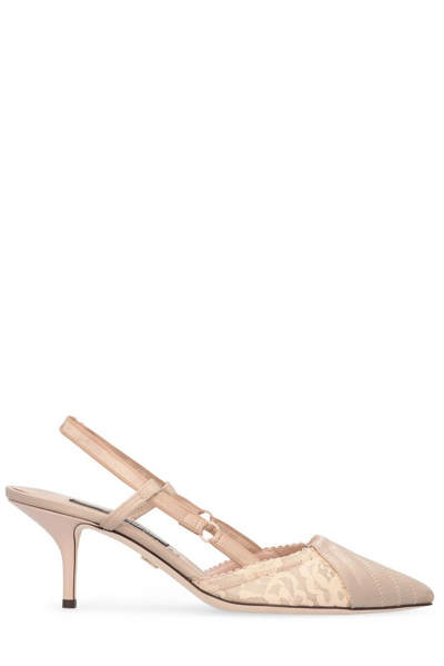 Dolce & Gabbana Pointed Lace Satin Slingback Pumps In Naked/naked