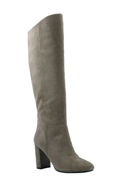 Calvin Klein Women's Almay Knee High Heeled Boots Women's Shoes In Taupe