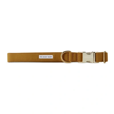 See Scout Sleep Yellow The Scot Extra Large Standard Dog Collar In Mustard