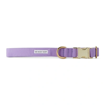 See Scout Sleep Purple The Scot Large Standard Dog Collar In Lilac