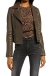 Allsaints Dalby Leather Biker Jacket In Loch Brown