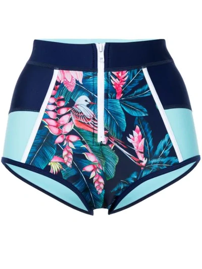Duskii Tropical Print Bikini Bottoms In Blue