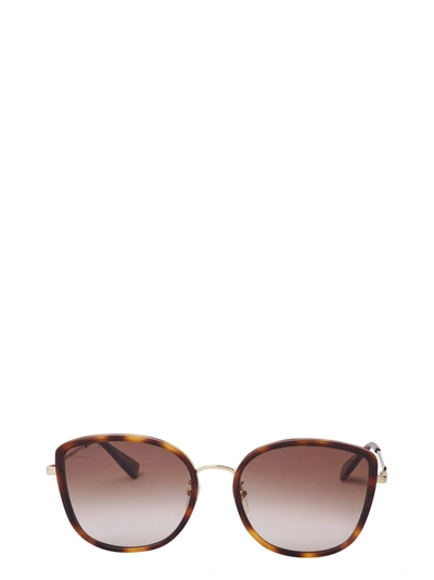 Gucci Brown Cat Eye Ladies Sunglasses Gg0606sk 003 56