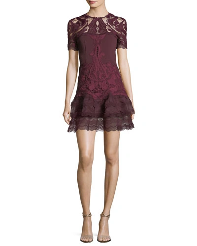 Jonathan Simkhai Embroidered Lace Fit-and-flare Crepe Mini Dress In Red