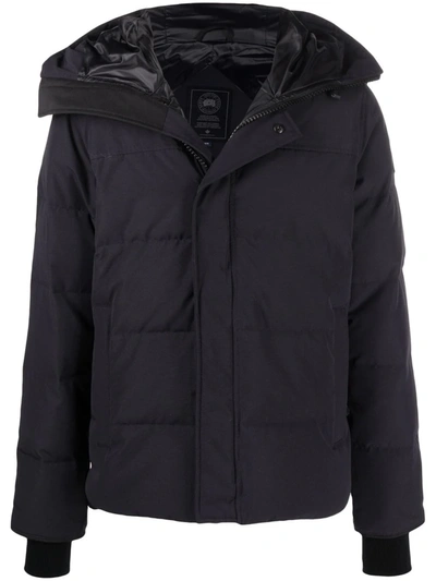 Canada Goose Macmillan Padded Parka In Blue
