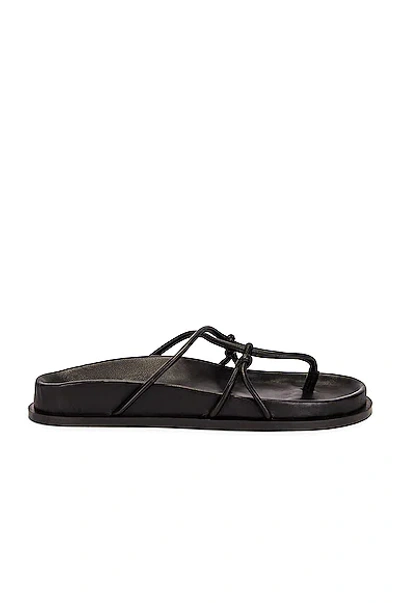A.emery Joesph Knotted Leather Thong Sandals In Black