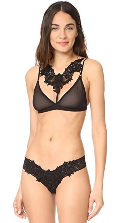 Hanky Panky After Midnight Roxie Bralette In Black