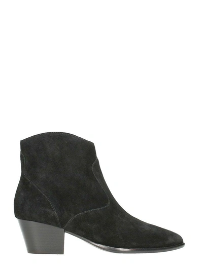 Ash Heidibis Ankle Boots In Black Suede
