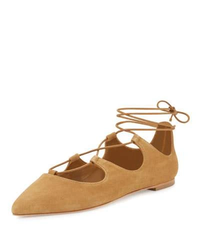 Loeffler Randall Ambra Point Toe Suede Lace-up Flats In Sienna