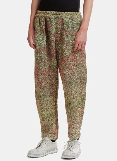 Anntian Speckled Schooler Pant In Red And Green