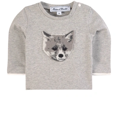 Tartine Et Chocolat Kids' Gray Melange Fox T-shirt In Grey