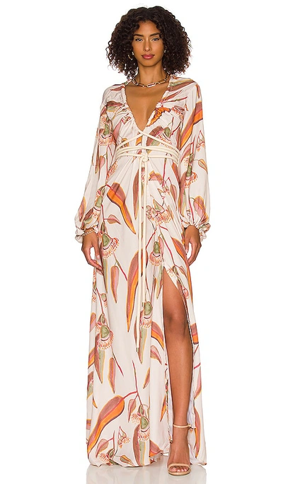 brown ombre maxi dress Barzilio | Ombre Long-Sleeve Bodycon Maxi Dress