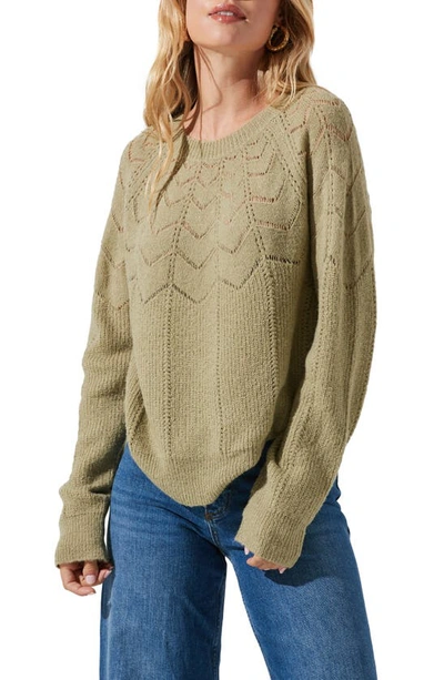 Astr Pointelle Sweater In Dusty Sage