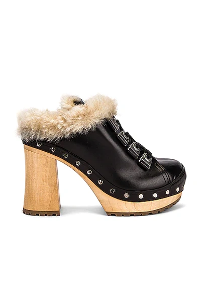 Miu Miu Genuine Shearling Lined Hiker Clog In Nero