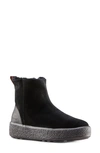 Cougar Broom Waterproof Genuine Shearling Bootie In Black