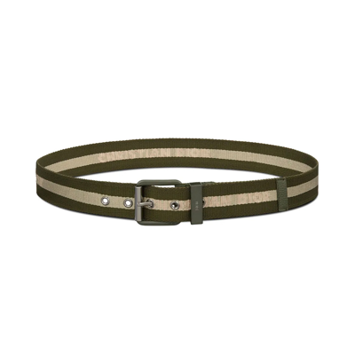 Dior Two Tone Belt In Green