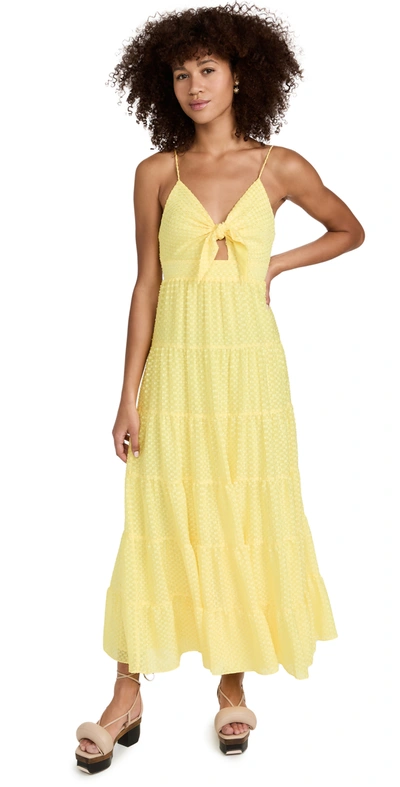 Alice And Olivia Minka Tie-front Maxi Dress In Sunflower