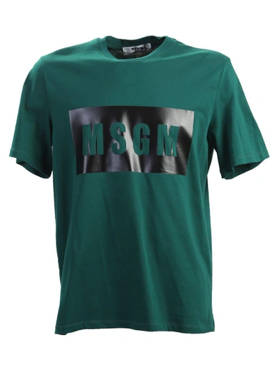 Msgm Logo Printed Cotton T-shirt In Green