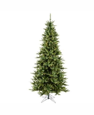 Vickerman 6.5' Camdon Fir Slim Artificial Christmas Tree With 550 Warm White Led Lights In Green