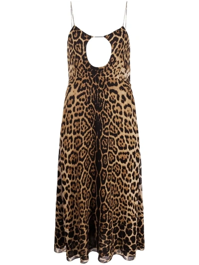Saint Laurent Cut-out Leopard-print Midi Dress In Brown