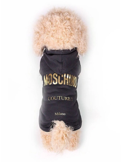 Moschino Cotton Logo Dog Hoodie In Black