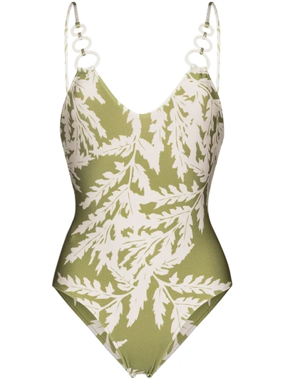 Adriana Degreas Foliage Leaf-print Swimsuit In Green