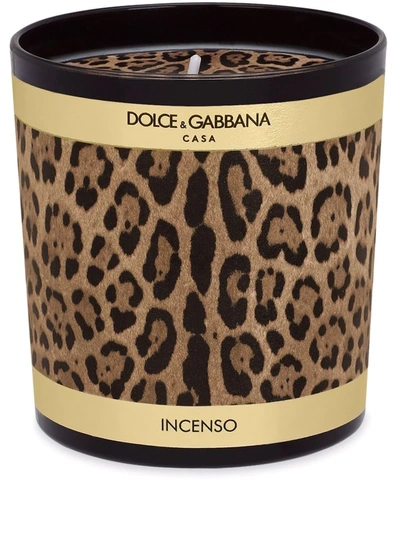 Dolce & Gabbana Leopard-print Scented Candle (250g) In Brown
