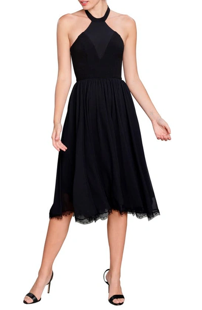 Dress The Population Giorgia Fit-&-flare Halter Dress In Black