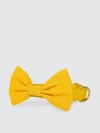 The Foggy Dog Sunflower Bow Tie Collar In Gold