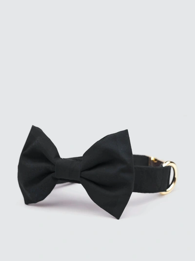 The Foggy Dog Onyx Bow Tie Collar In Black