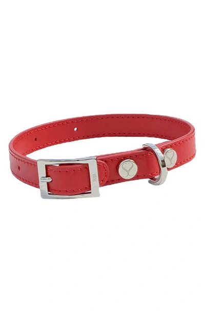 Shaya Taylor Leather Collar In Ruby