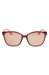 Converse Force 56mm Sunglasses In Crystal Deep Bordeaux