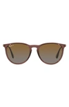 Ray Ban Erika Classic 54mm Sunglasses In Brown/brown Polarized Gradient