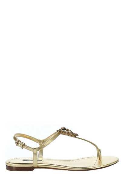 Dolce & Gabbana Sandals In Oro Chiaro