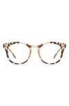 Diff 50mm Small Round Optical Glasses In Himalayan Tort / Clear