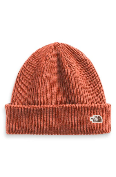 The North Face Salty Dog Beanie In Burnt Ochre/ Moonlight Ivory