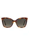 Jimmy Choo Macis 55mm Cat Eye Sunglasses In Cry Nude / Brown Gradient