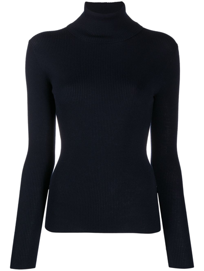 P.a.r.o.s.h Parosh Leila Ribbed Wool Jumper In Blue